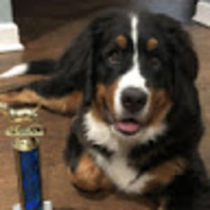 Meet your Posher, Glen